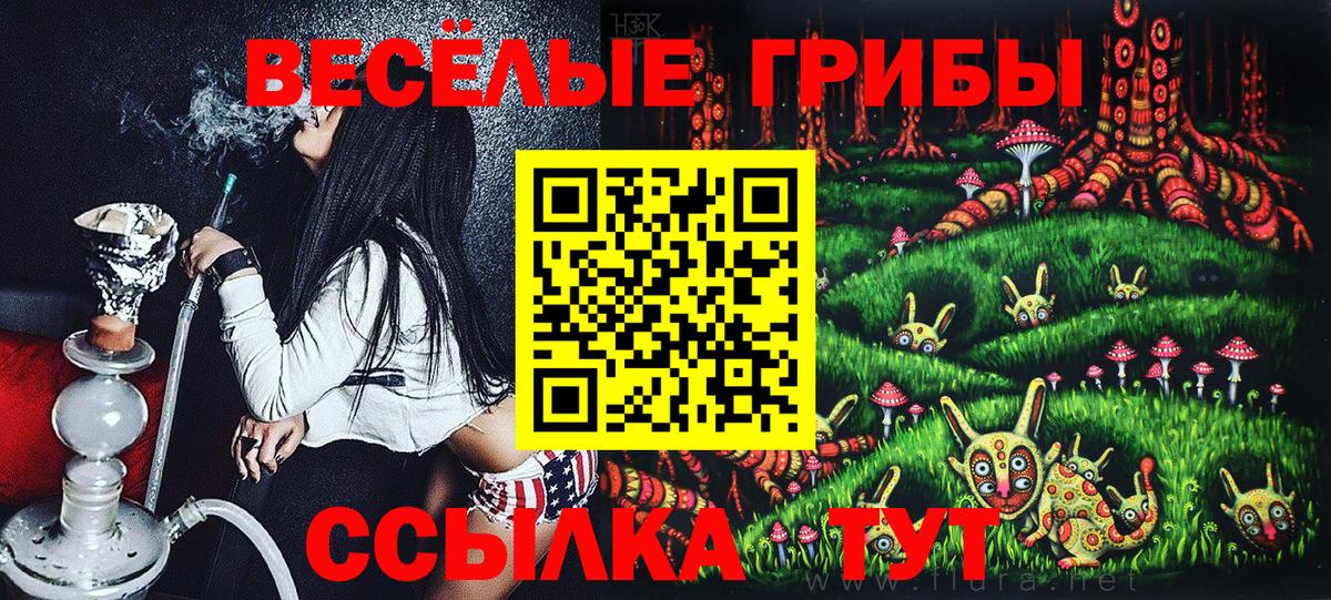 Галлюциногенные грибы Cubensis Элиста